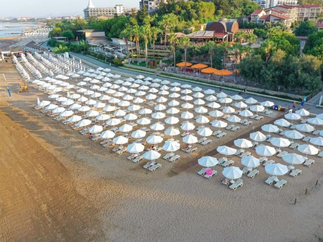 Barut Arum
