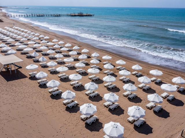 Barut Goia