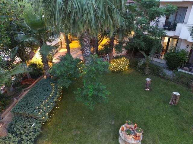 Lemas Suite