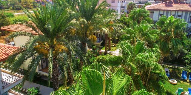 Sunlight Garden
