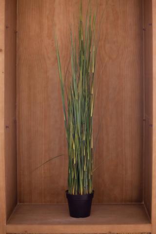 Corallium Dunamar by Lopesan