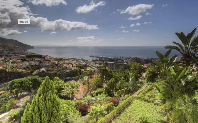 Quinta Funchal Palace Gardens