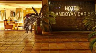 Flamboyan Caribe