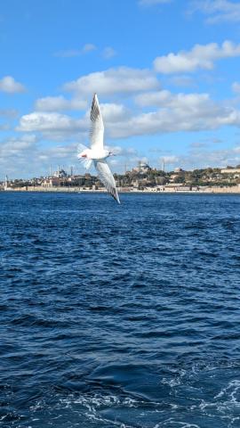 Turecko: Istanbul a Princove ostrovy