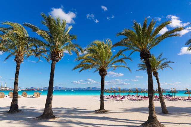 Malorka: Pinero Bahia de Palma 3*