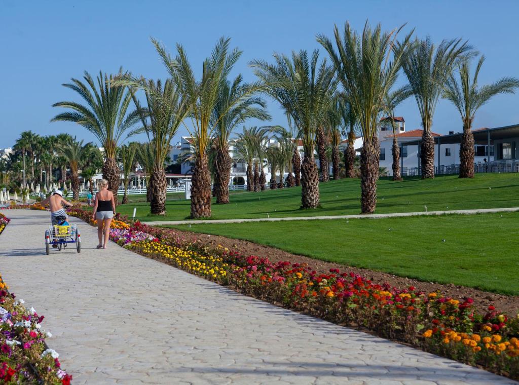 Cyprus, Paphos: King Evelthon Beach Hotel & Resort 5*