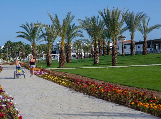 Cyprus, Paphos: King Evelthon Beach Hotel & Resort 5*