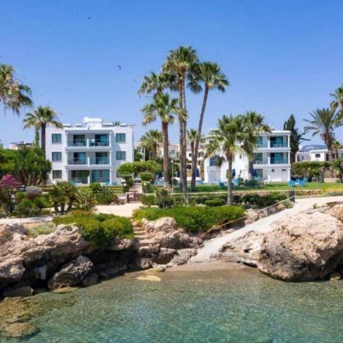 Cyprus, Paphos: King Evelthon Beach Hotel & Resort 5*