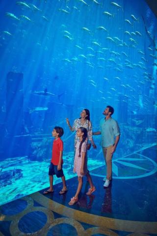 Spojené arabské emiráty: Abu Dhabi, Dubaj a Atlantis The Palm 5