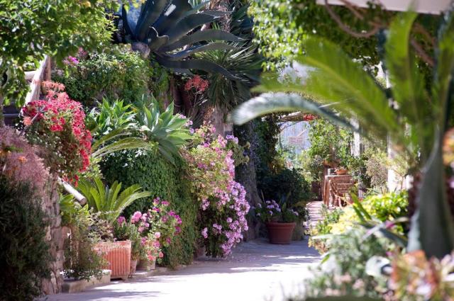 Ischia: Villa Melodie 3*+