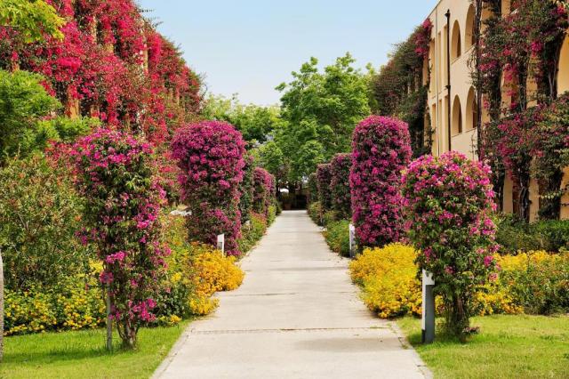 Kalábria: TUI MAGIC LIFE Club Calabria 4*