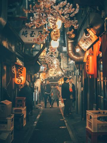 Japonsko: Krajina vychádzajúceho slnka