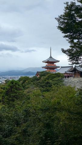 Japonsko: Od Hirošimy až po Tokyo