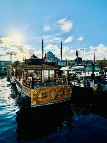 Predvianočný Istanbul: Po stopách sultánov až na Grand Bazaar