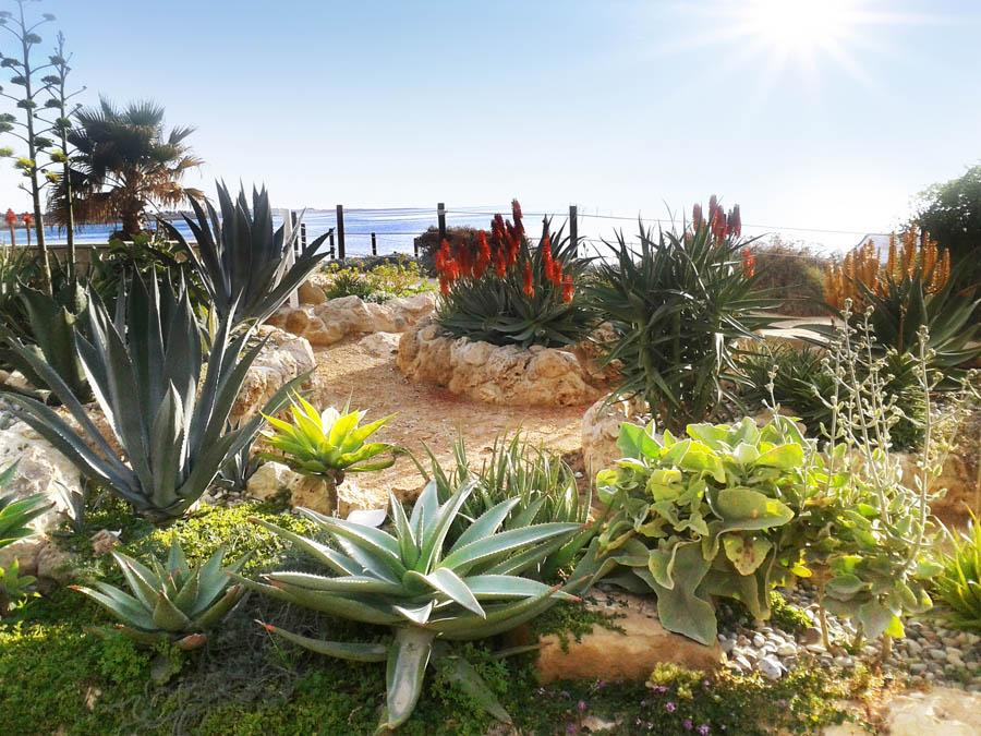 Cyprus, Paphos: Akti Beach Village 4*