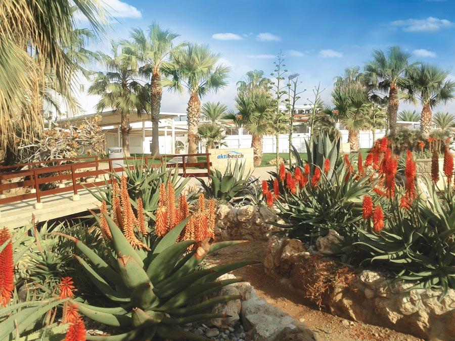 Cyprus, Paphos: Akti Beach Village 4*