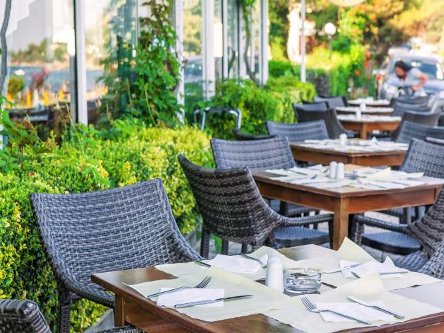 Chalkidiki: Xenios Dolphin Beach Hotel 3*