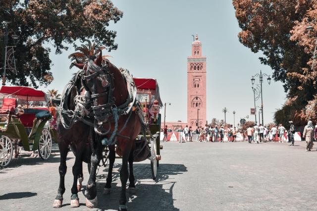 Maroko: Od Marakéša po Casablancu a Rabat