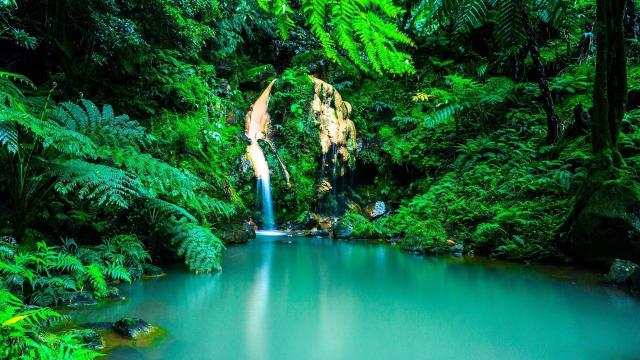 Azorské ostrovy a Madeira: Poklady Atlantiku