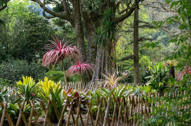 Azorské ostrovy a Madeira: Poklady Atlantiku