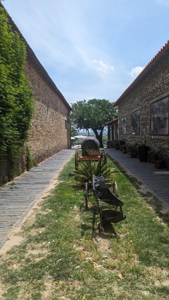 Portugalsko: Lisabon, Porto a návšteva údolia Douro s ochutnávk