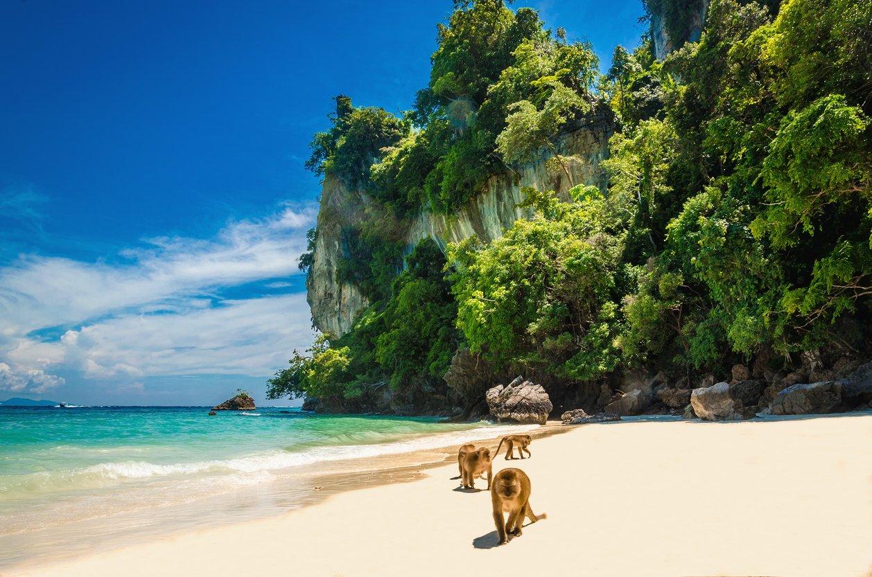 Thajské kráľovstvo a oddych na Koh Samui