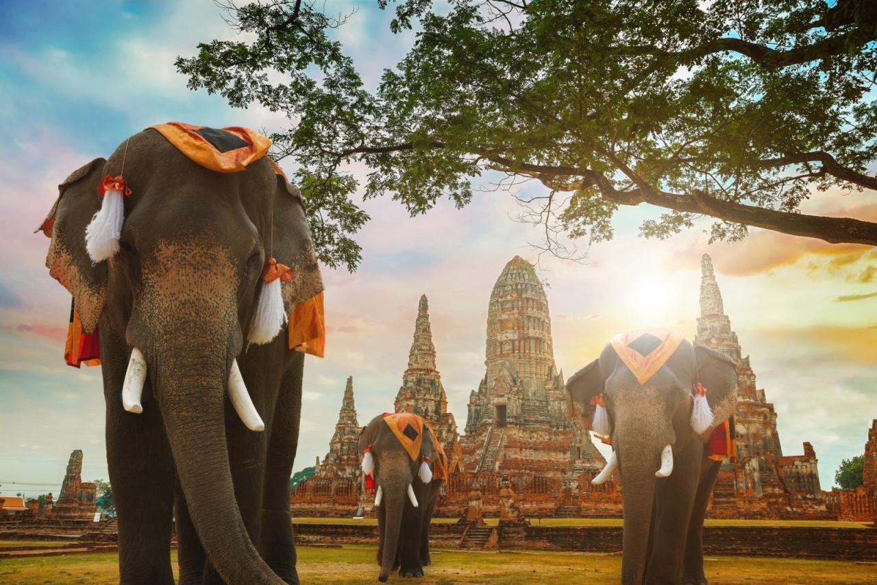 Thajské kráľovstvo a oddych na Koh Samui