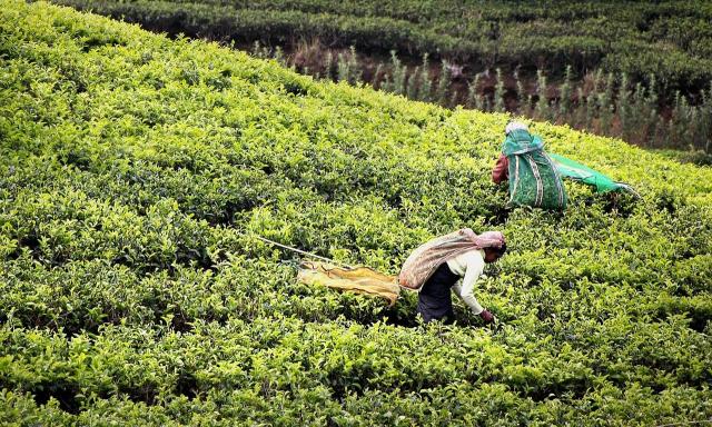 Veľká cesta Áziou: Srí Lanka, Thajsko a Vietnam