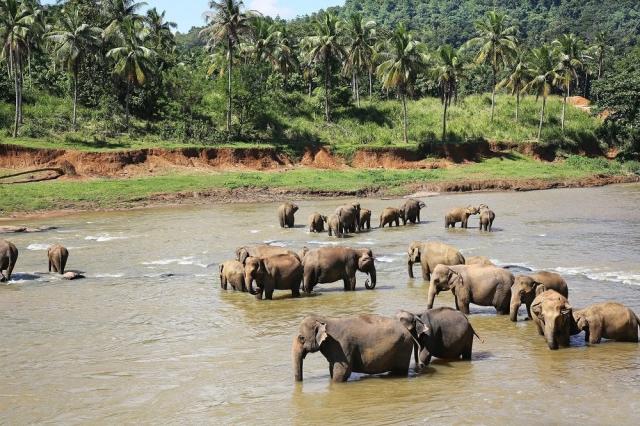 Deluxe cesta Áziou: Maldivy, Srí Lanka, Thajsko a Vietnam