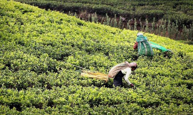 Sri Lanka a Thajsko: Dve tváre Ázie