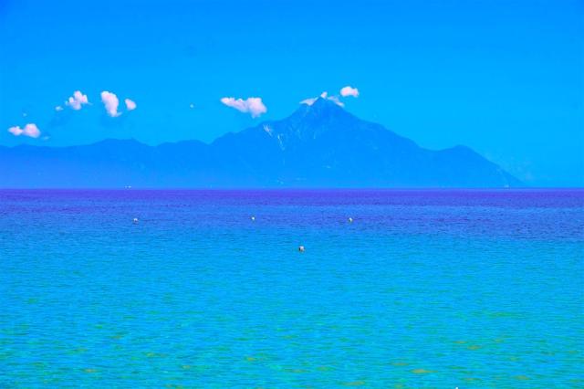 Blue Sarti