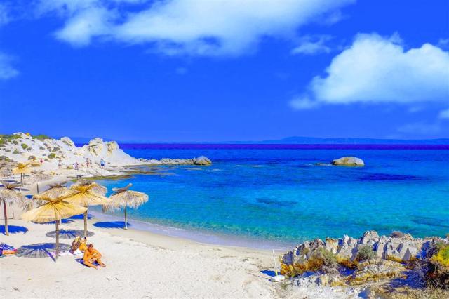 Blue Sarti