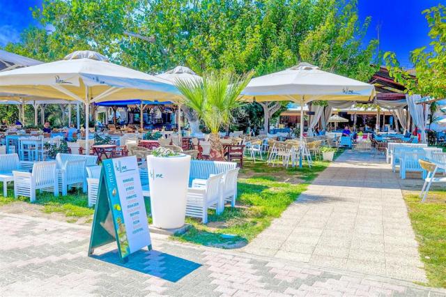 Blue Sarti
