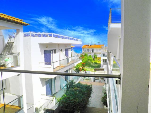 Blue Sarti