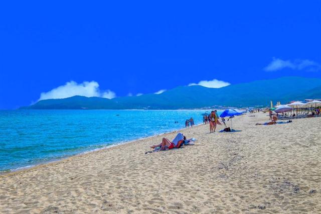 Blue Sarti