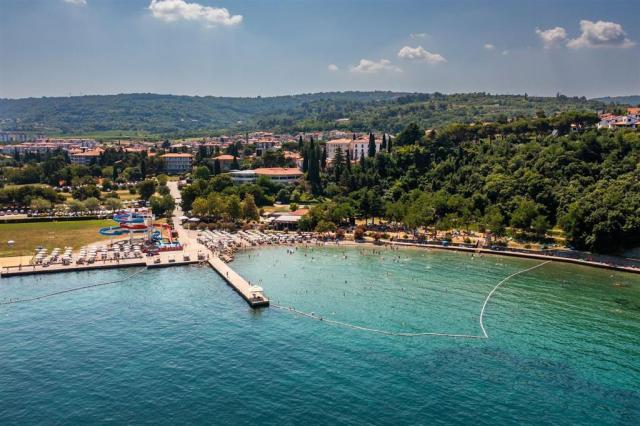 Haliaetum