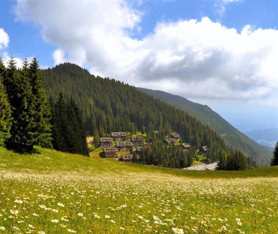 Apartmány Golte