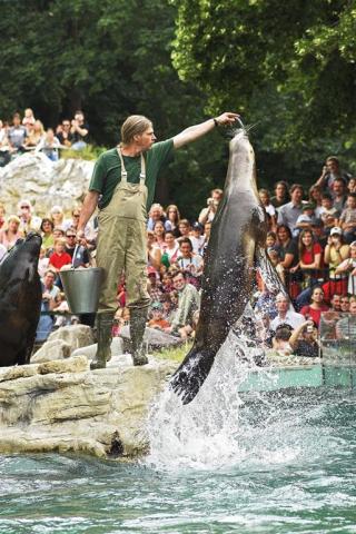 ZOO Vídeň a zámek Schönbrunn