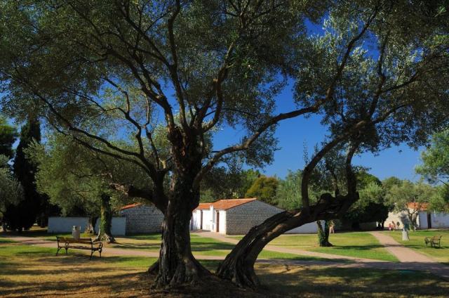 Resort Villas Rubin Apartments