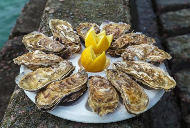 Romantická Bretaň a Normandie s návštěvou Paříže