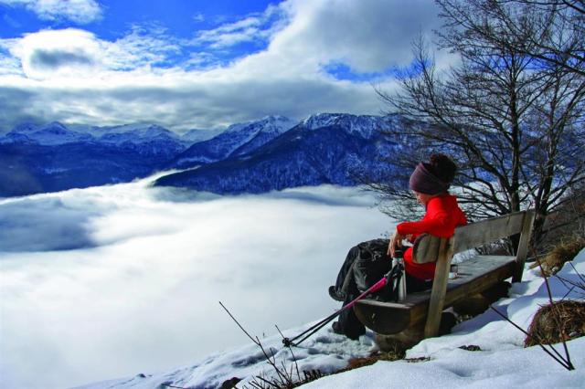 Bohinj Park ECO