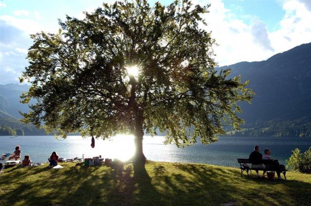 Bohinj Park ECO