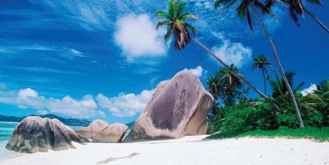 Paradise Sun