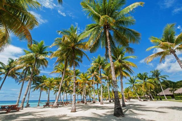 Bohol Beach Club