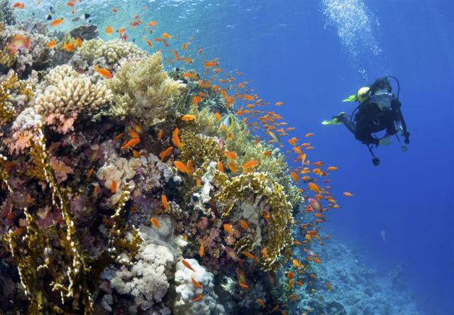 Yasawa Island Resort