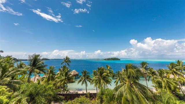 Maitai Polynesia