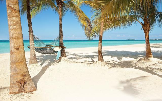 Couples Swept Away