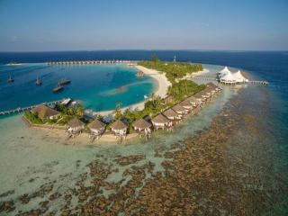 Safari Island