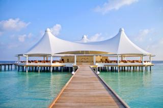 Safari Island