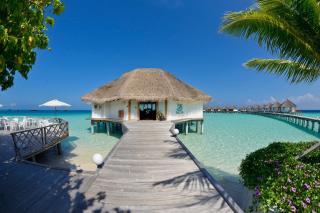 Safari Island